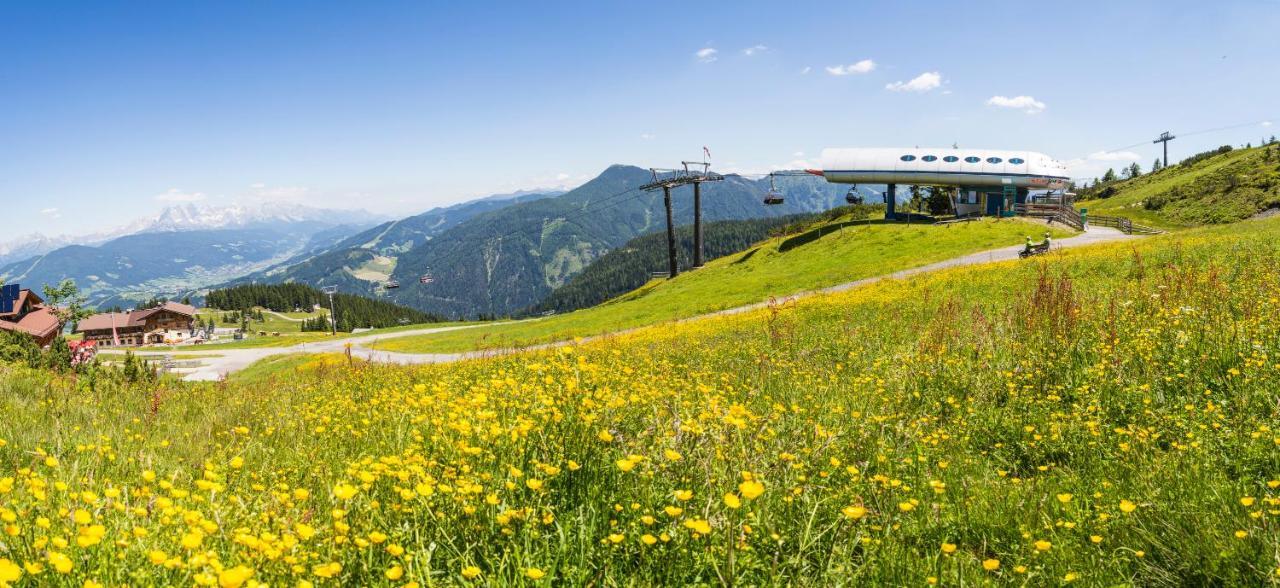 Gasthof Jandlalm Flachau Esterno foto