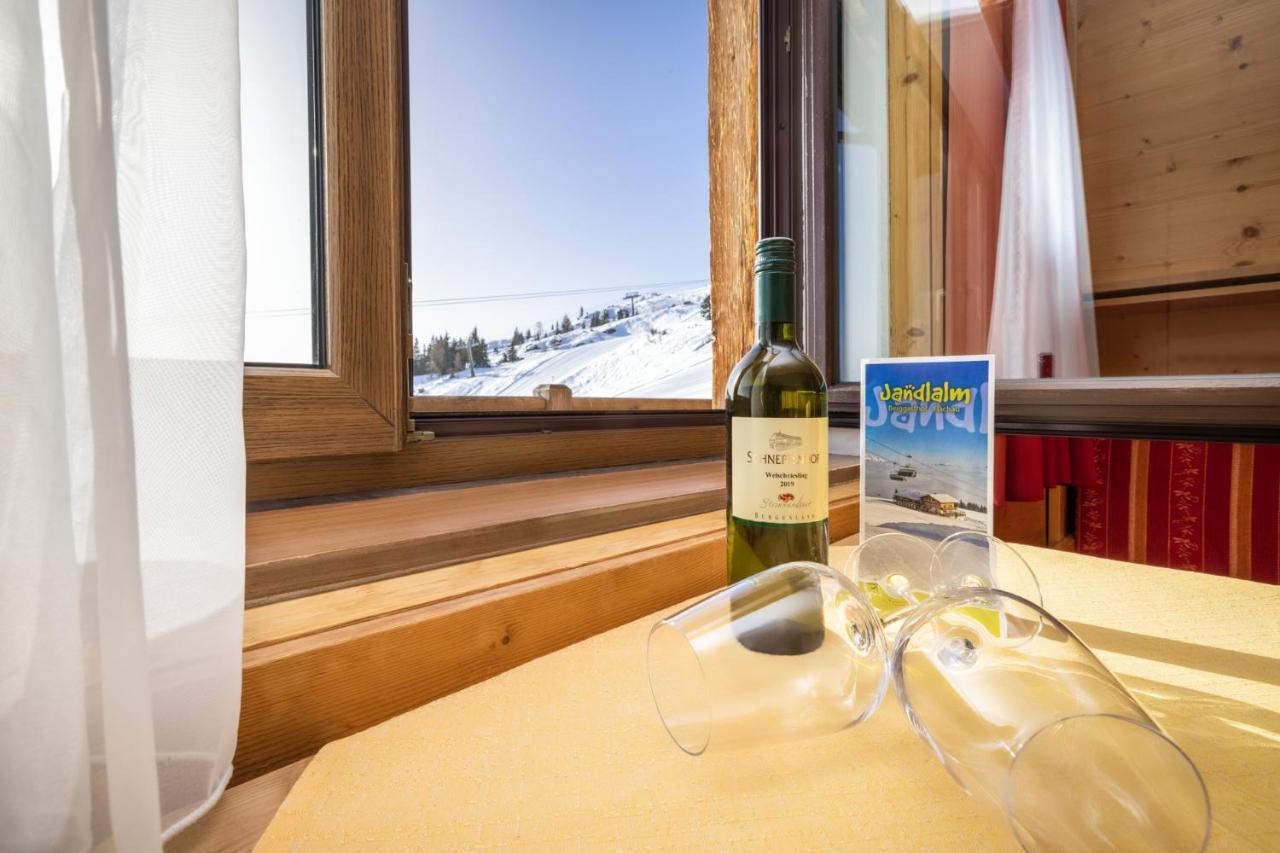 Gasthof Jandlalm Flachau Esterno foto
